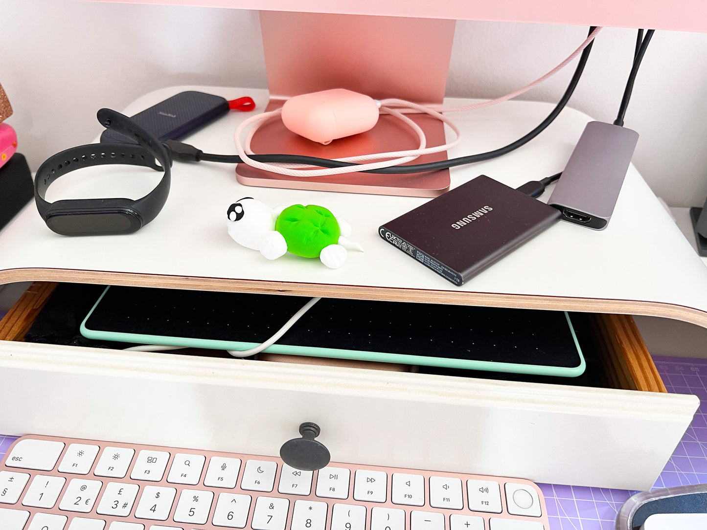 Turtle Desk Friend