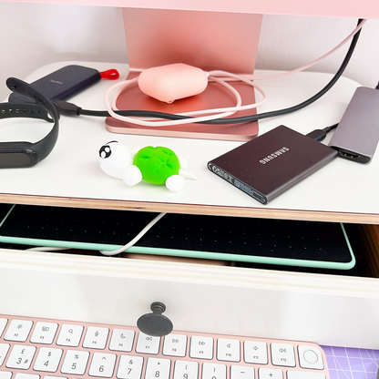 Turtle Desk Friend