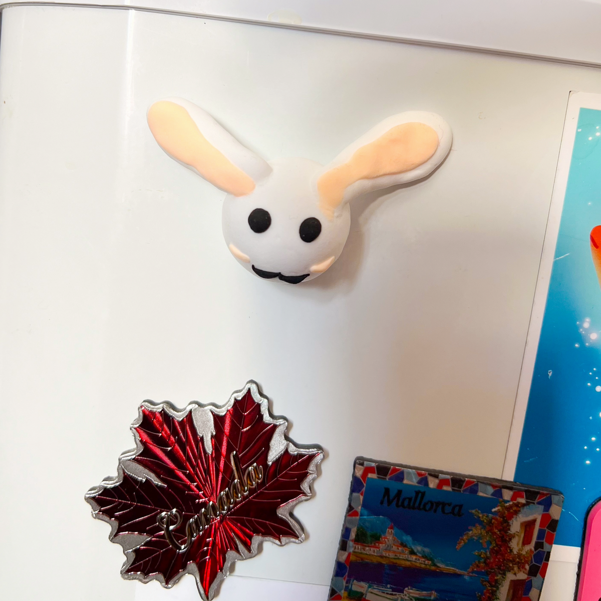 Bunny Fridge Magnet
